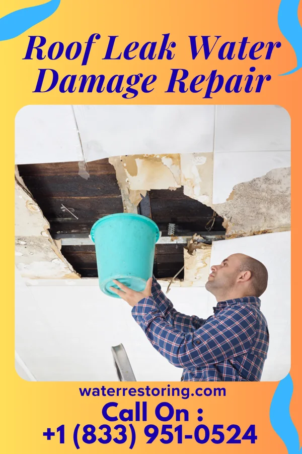 Roof Leak Water Damage Repair in New Castle, IN